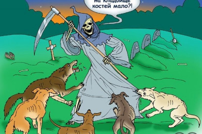 Ядовитые грибы имеют юбку на ножке и могут загубить вашу дальнейшую жизнь