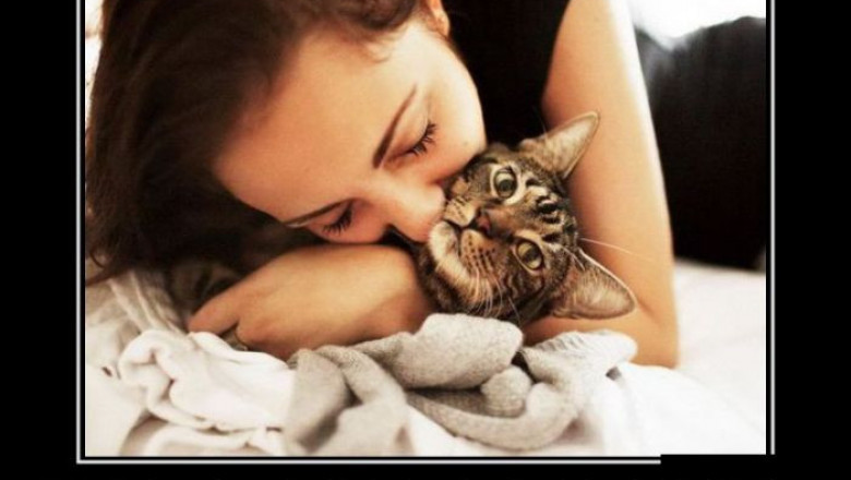 Смешинки для настроения 