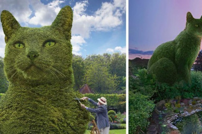 Топиарный  кот 