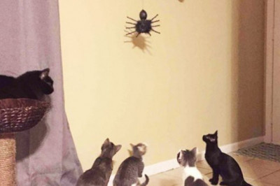 Улётная подборка !