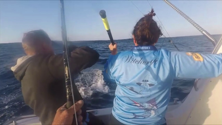 Голубой марлин ударил рыбака, пытавшегося его вытащить.