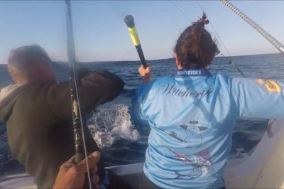 Голубой марлин ударил рыбака, пытавшегося его вытащить.