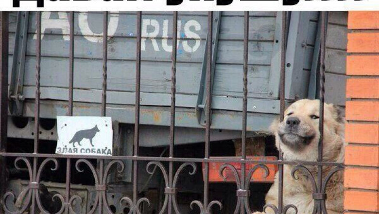 Смотрим и находим повод улыбнуться  !