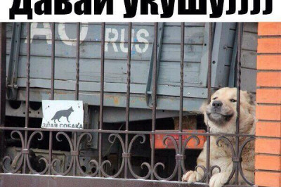 Смотрим и находим повод улыбнуться  !