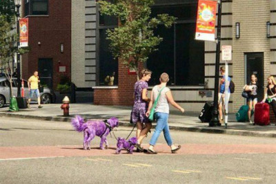 Странные людишки на улицах города 