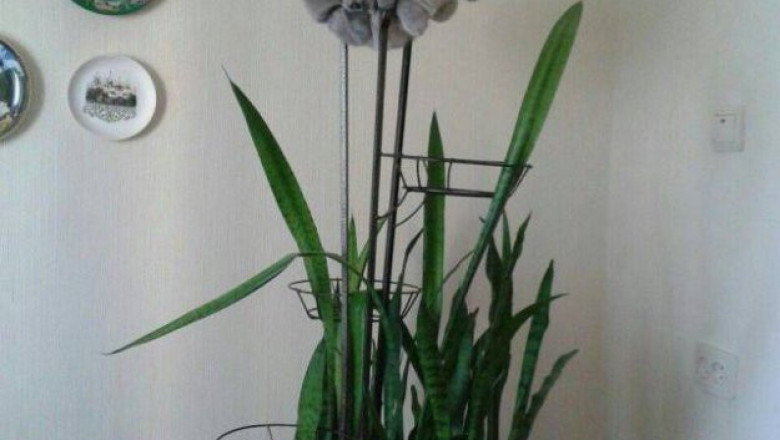 Все нормально мне так удобно 