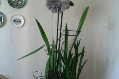 Все нормально мне так удобно 