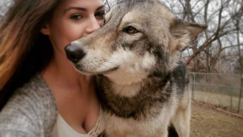 Порция прикольных животных 