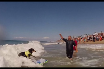 Поймать волну ...