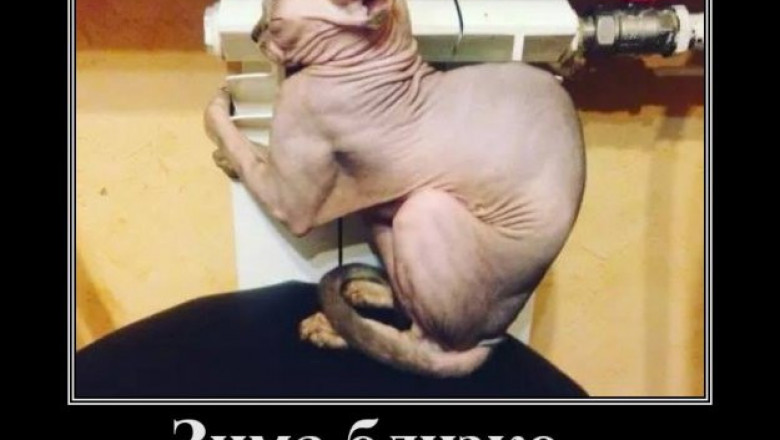 Зима уже близко