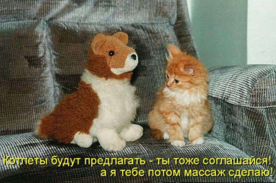 Как могут мыслить пушистики 