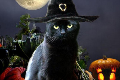 Ведьма в кошачьем образе