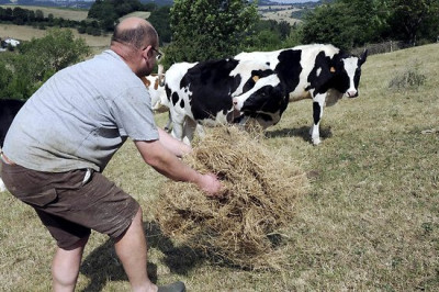 Методы ухаживания