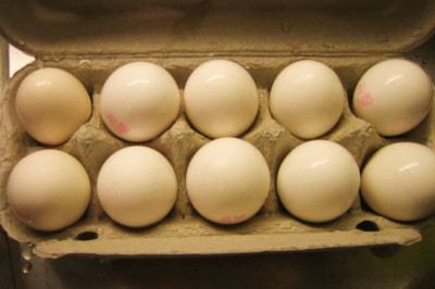 Яйца к осмотру