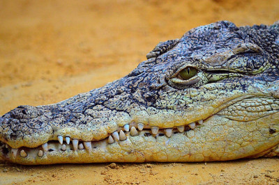 Глазами ребенка