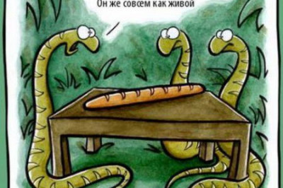 В кризис и гадюка ужом вертится