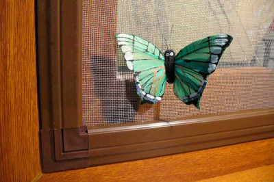 Полтергейст подкрался незаметно