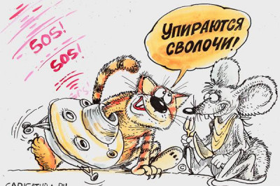 Животные не поддающиеся дрессировке просто умнее нас