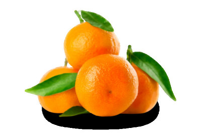 Чудеса, да и только….