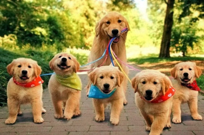 Семейное фото !