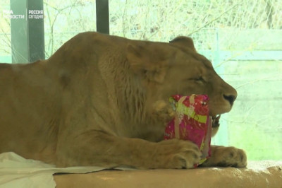 Подарки от тайного Санта-Клауса 