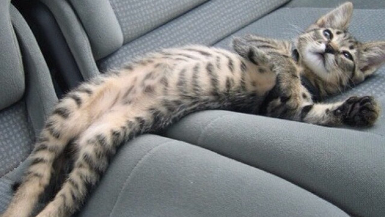 Неожиданный поворот событий 