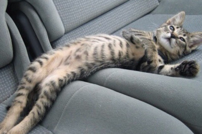 Неожиданный поворот событий 