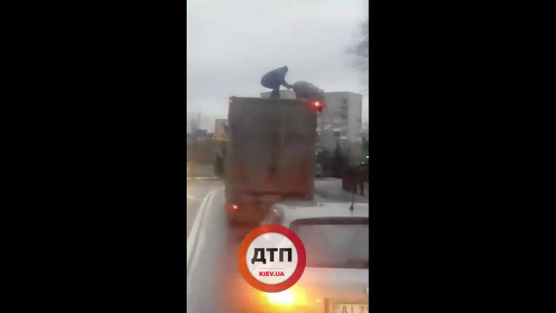 Борьба мужчины со свиньёй 