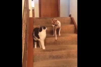 Неожиданный результат 