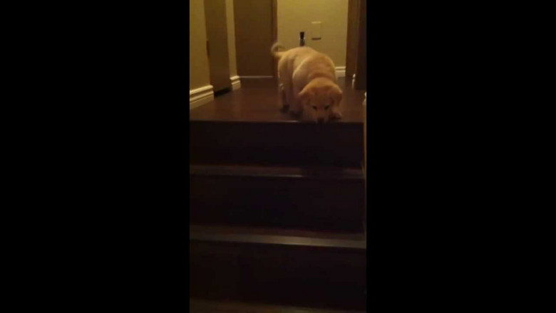 Воспитательный момент 