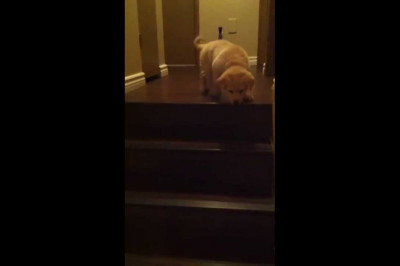 Воспитательный момент 