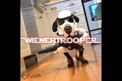 Когда фанатеешь от 