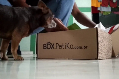 Сражение за подарки 