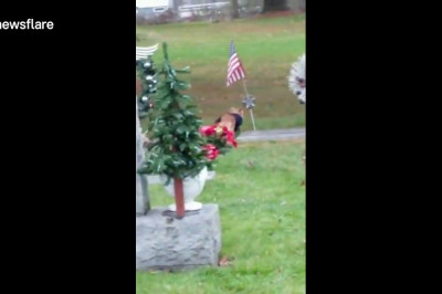 Преданная собака отказывалась покидать могилу хозяина 