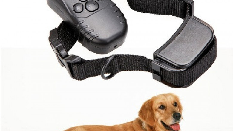 Опробование на себе шокового  ошейника для собак 