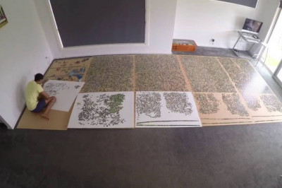 Что вы знаете о терпении !