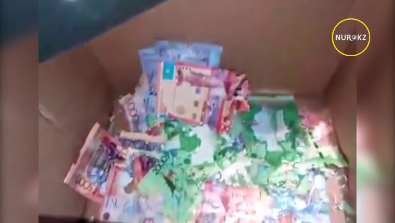 Мыши погрызли в банкомате деньги 