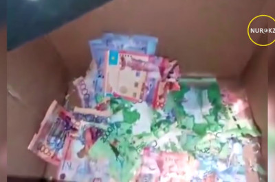 Мыши погрызли в банкомате деньги 