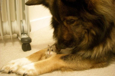 Играл, играл и не туда попал