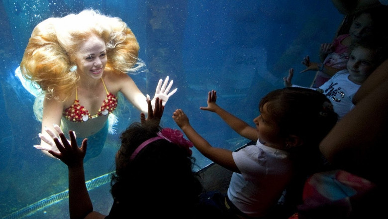 Если хочешь быть русалкой 