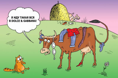 Нет такого животного, которого не способны полюбить тараканы в женской голове