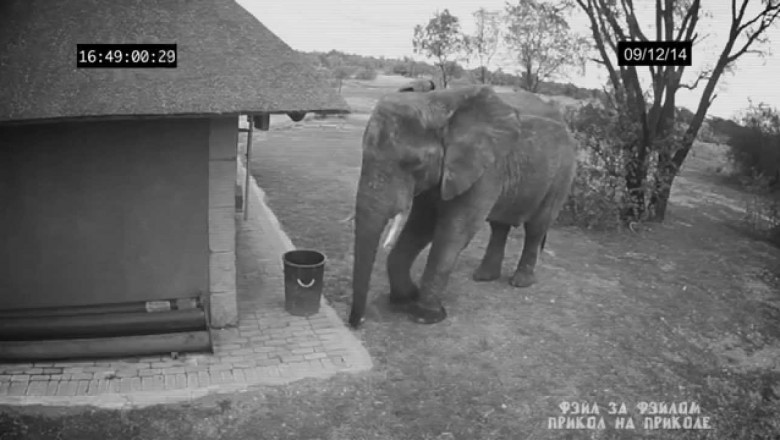 Учитесь , как надо делать !