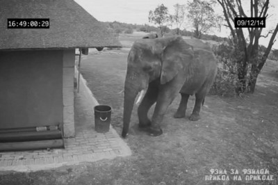 Учитесь , как надо делать !