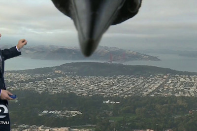 Ворона сорвала выпуск прогноза погоды 