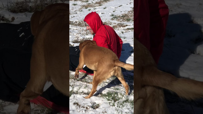 Когда полное взаимопонимание 