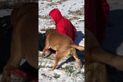 Когда полное взаимопонимание 