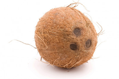 Наш умный, наблюдательный сынишка