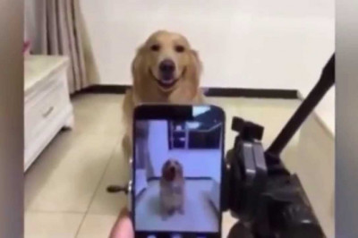 Любитель селфи