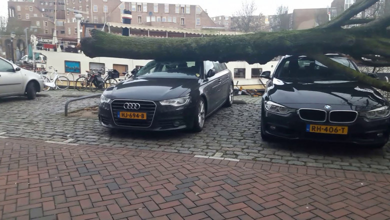 Ветер-ветер , ты могуч !