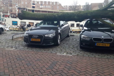 Ветер-ветер , ты могуч !